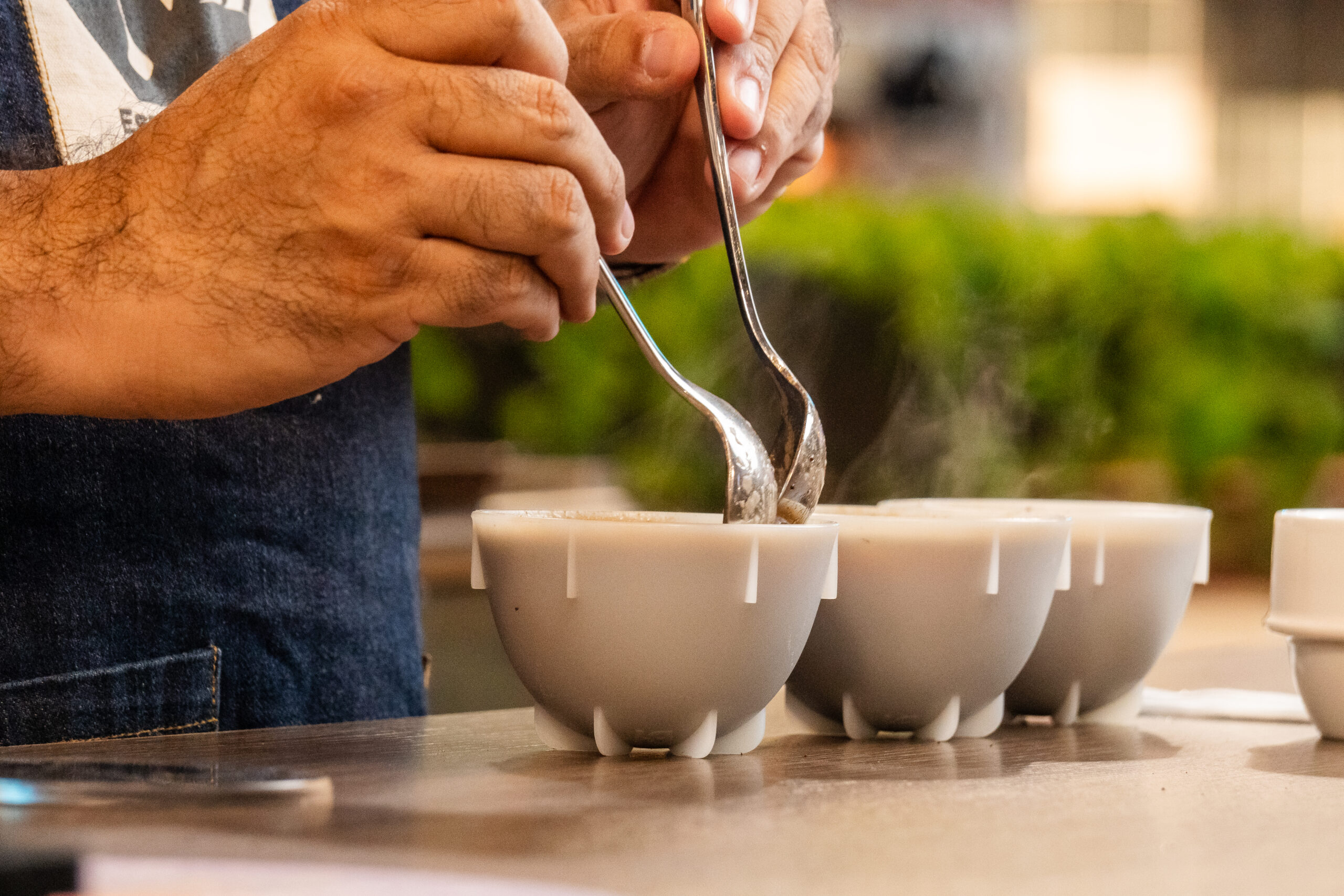 Coffee quality consulting for better espresso taste and consistency